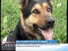 Drepturi noi pentru animalele din serviciul militar