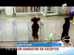 Un dansator de excepție