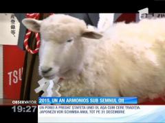 2015, un an armonios sub semnul oii