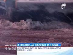 În Capitală a nins ca-n poveşti!