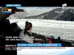 Cu sania trasă de câini, în munții Alpi