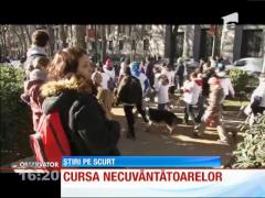 Cursa necuvântătoarelor