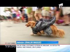 Parada câinilor mascaţi de la New York