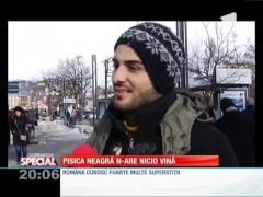 Special! Pisica neagră n-are nicio vină