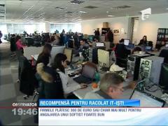 A început vânătoarea IT-iştilor