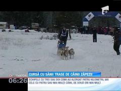 Cursă cu sănii trase de câinii zăpezii
