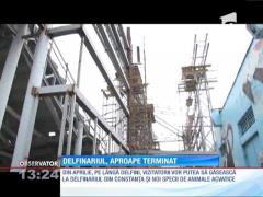 Delfinariul, aproape terminat
