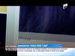 Observator 13 Weekend