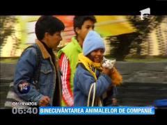 Binecuvântarea a animalelor de companie