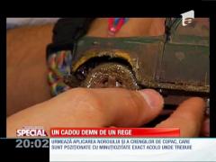 SPECIAL! Un cadou demn de un rege