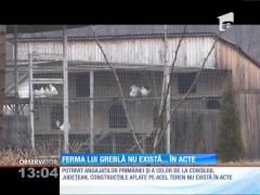 Ferma de struţi a soacrei judecătorului Toni Greblă funcţionează ilegal