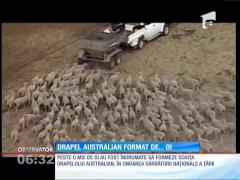 Patriotismul într-o manieră inedită! Drapel australian format de oi