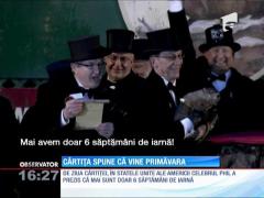 Prezicerile cârtiței