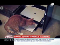 Special! Stăpânul seamănă cu animalul de companie