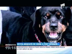 Fetiţa muşcată de câinele familiei a fost operată