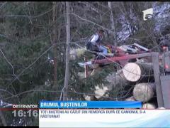 Camion plin cu buşteni, răsturnat în drum