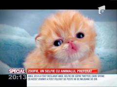 Special! Zoofie, un selfie cu animalul preferat