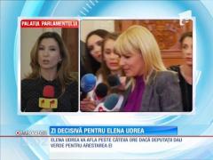 Zi decisivă pentru Elena Udrea