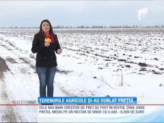 Terenurile agricole și-au dublat prețul