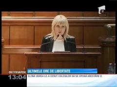 Elena Udrea, ultimele ore de libertate