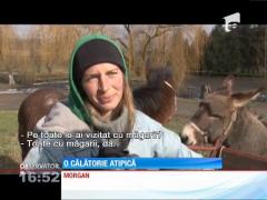 O franţuzoaică a pornit într-o călătorie prin Europa cu măgarul