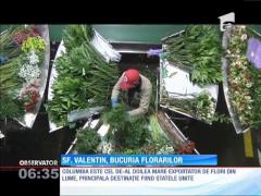 Ziua Sfântului Valentin, bucuria cultivatorilor şi comercianţilor de flori