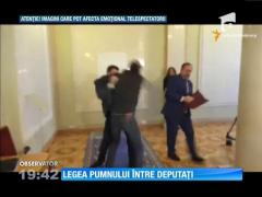 Doi deputați ucraineni s-au luat la bătaie în Parlamentul de la Kiev