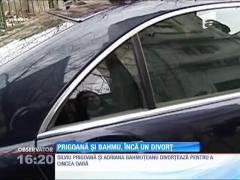 Silviu Prigoană şi Adriana Bahmuţeanu divorțează pentru a cincea oară