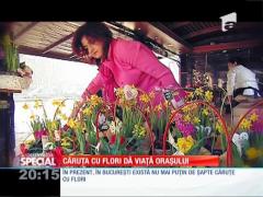 SPECIAL! Floarea caracteristică pentru Valentine's Day: trandafirul