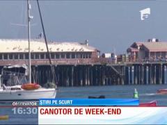 Un leu de mare, canotor de weekend