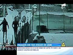 Pasageri din taxi atacați de câini