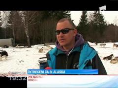 Observator de weekend