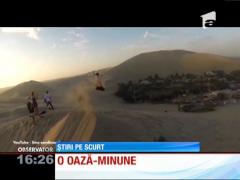 Oaza-minune din deşertul Atacama
