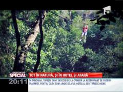 Special! Hoteluri exotice și ECO