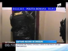 Apartamentul unui tânăr din Constanţa ascundea o adevărată cultură de cannabis