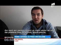 Prima cafenea cu pisici din Slovenia