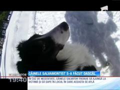 Câinele salvamontist s-a făcut dascăl
