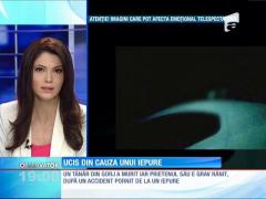 O moarte stupidă! A oprit să vadă dacă a omorât un iepure, însă a fost lovit de un alt şofer