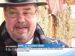 Mucenicii moldoveneşti au făcut furori în Capitală!