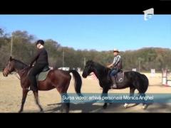 ESTETICA PREMIUM / Echitația