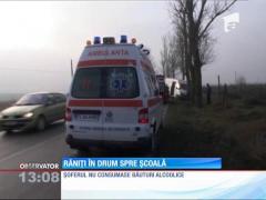 Tulcea: Şapte răniţi în drum spre şcoală