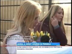 Update / Daruri pentru Elena Udrea