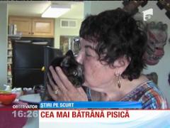 EA este cea mai bătrână pisică din lume!