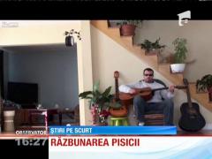 VIDEO AMUZANT! Răzbunarea pisicii