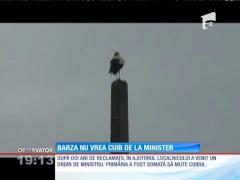 Barza nu vrea cuib de la minister