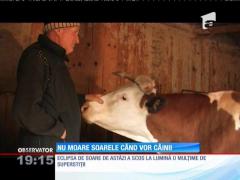 Vocea satului: eclipsa de soare, opera vârcolacilor nesătui