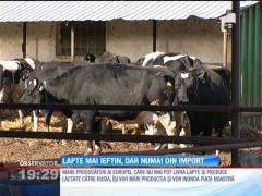 Lapte mai ieftin, dar numai din import