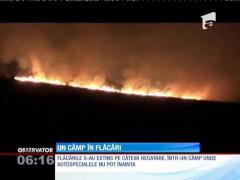 Incendiu de vegetație întins pe câteva hetare