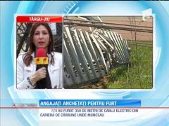Patru angajaţi ai Complexului Energetic Oltenia, anchetaţi pentru furt de la locul de muncă