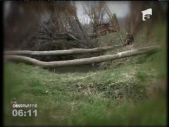 Copil de 2 ani, înecat în curtea casei